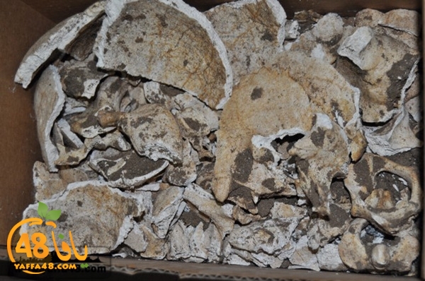 maqbara qeshleah (7).jpg